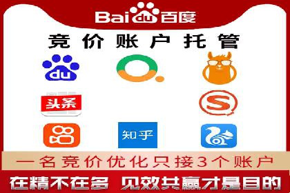 SEM托管服务，成功案例见证转化奇迹